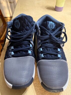 Men's Nike LeBron Witness 8 'Ashen Slate' Blue Shoes FB2239-400 Size 11